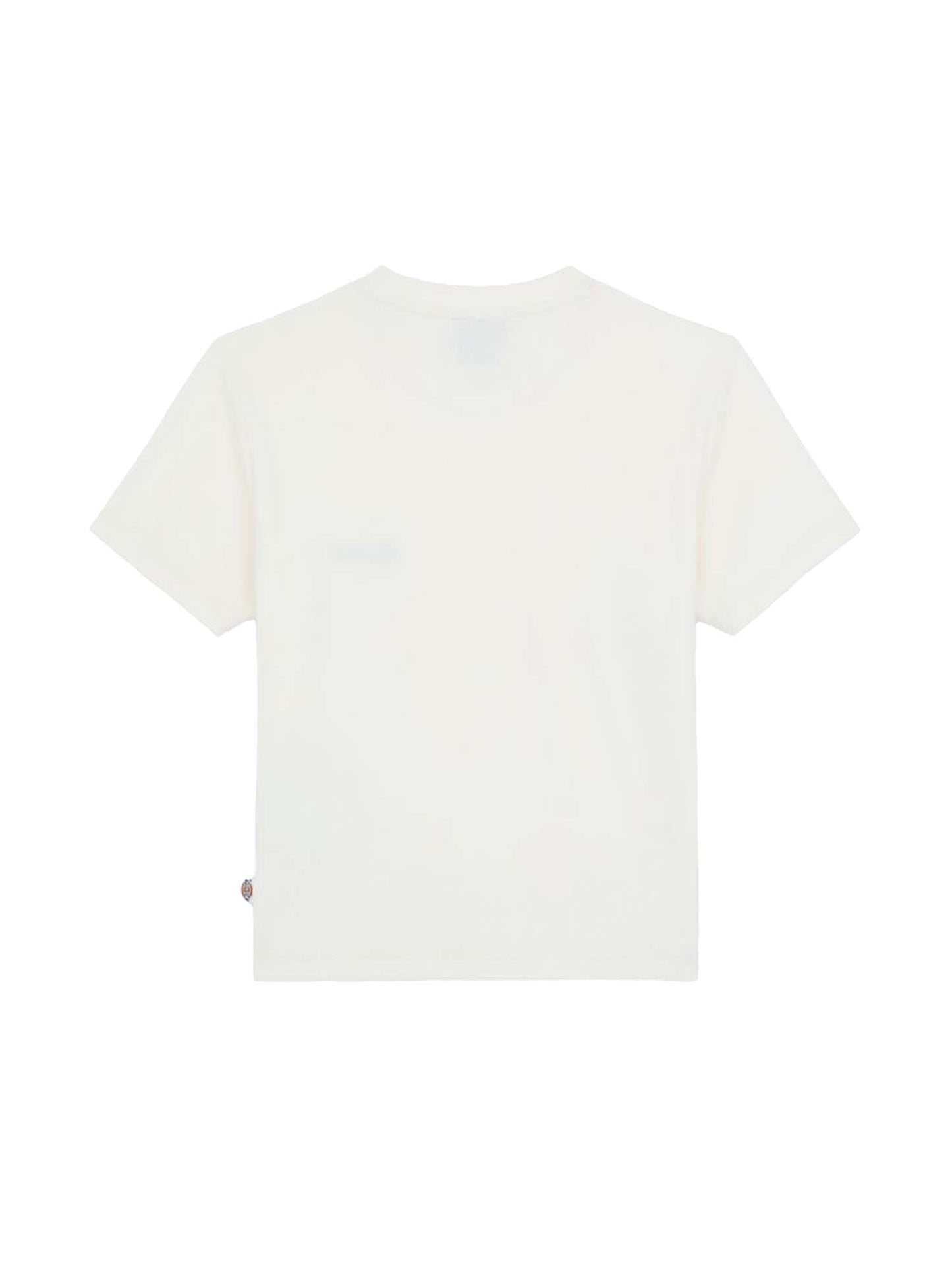 Dickies T-Shirt Lewistown Ricamata Bianco