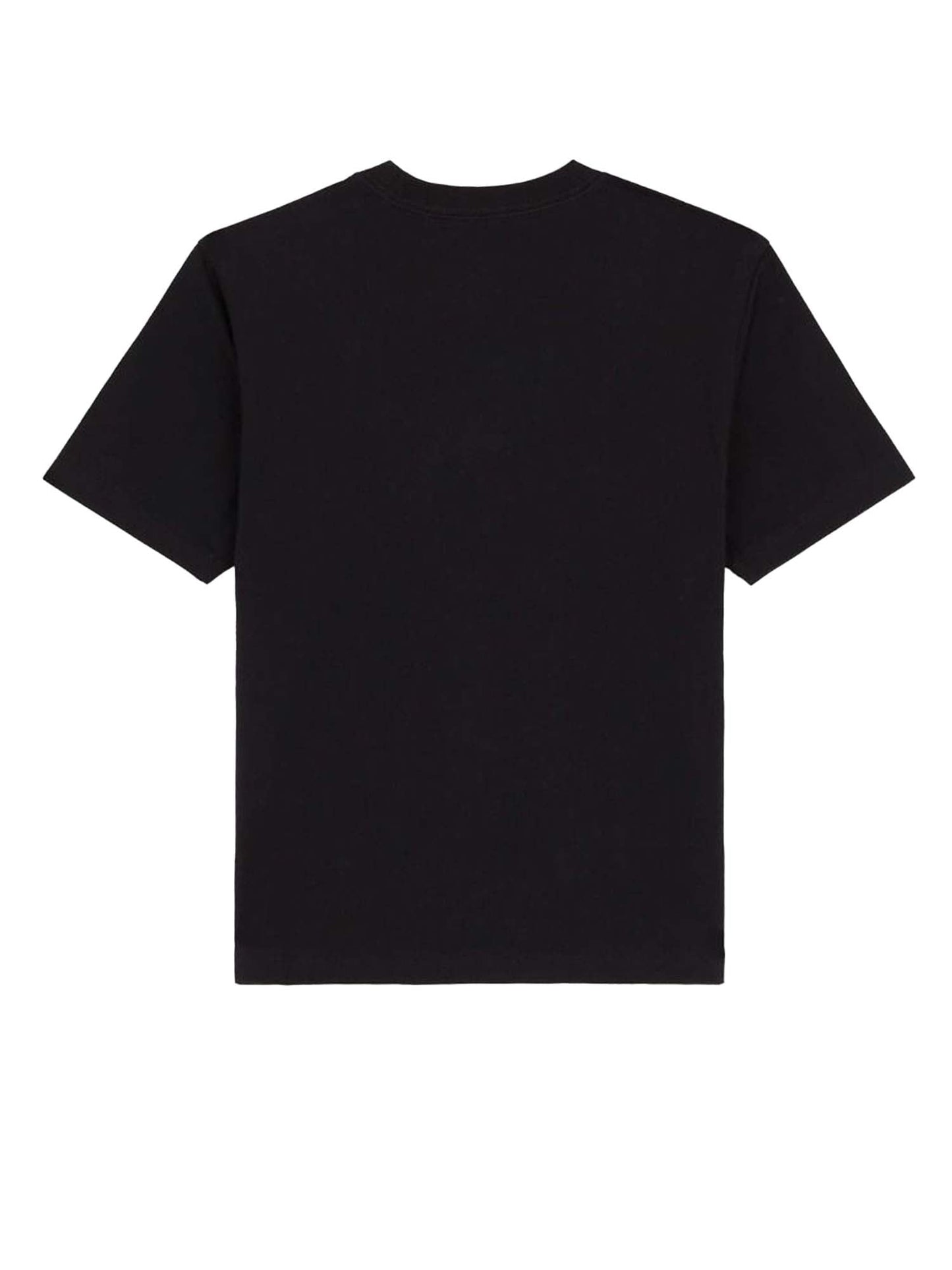 Dickies T-shirt leggera Maple Valley regular Nero