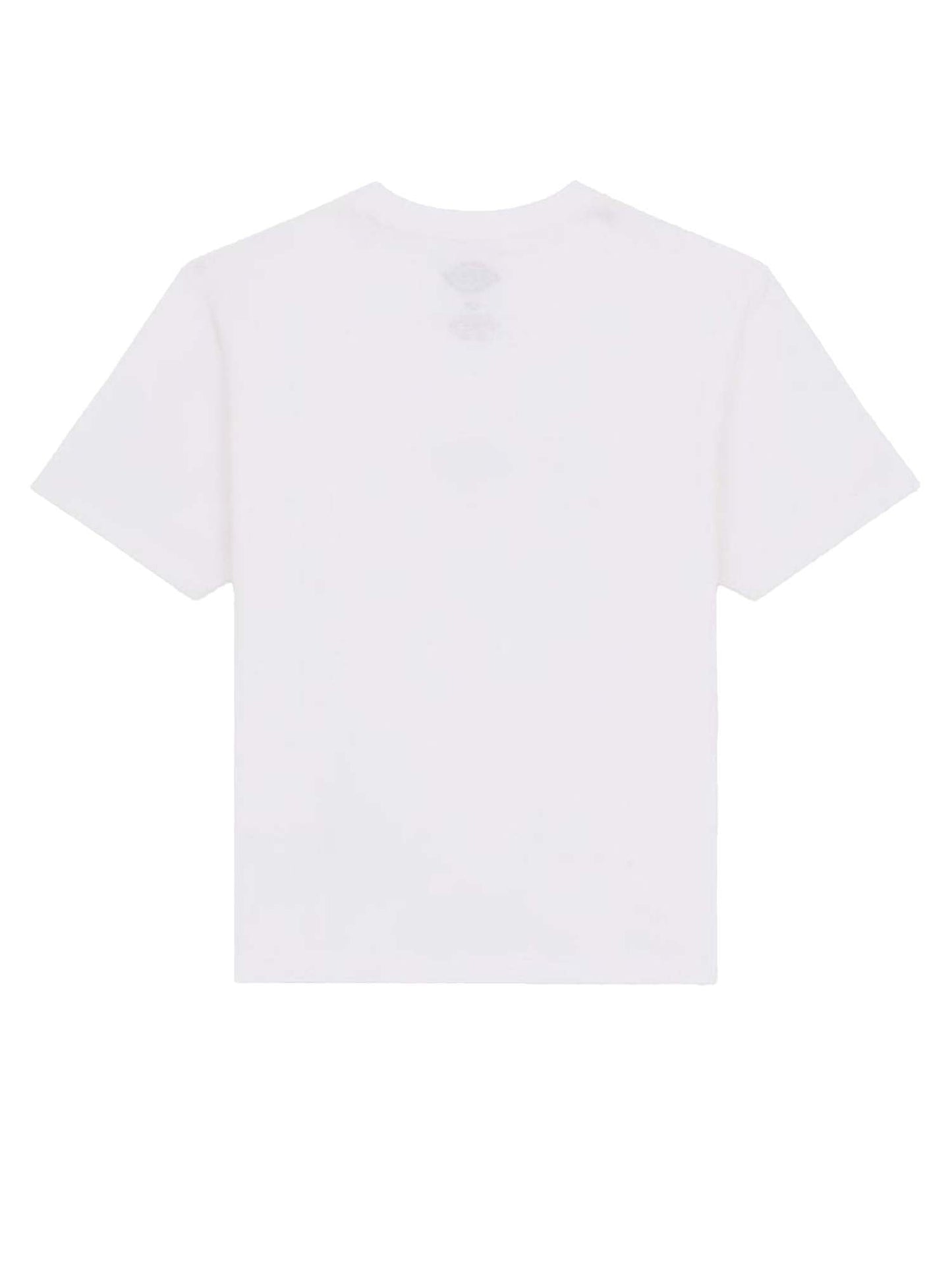 Dickies T-shirt leggera Maple Valley regular Bianco