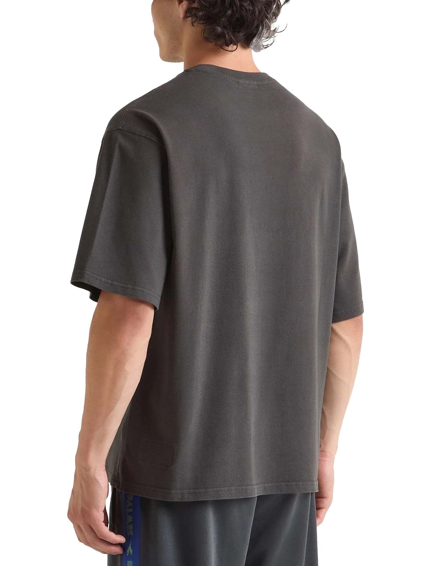 Diadora T-shirt SS Legacy I Marrone